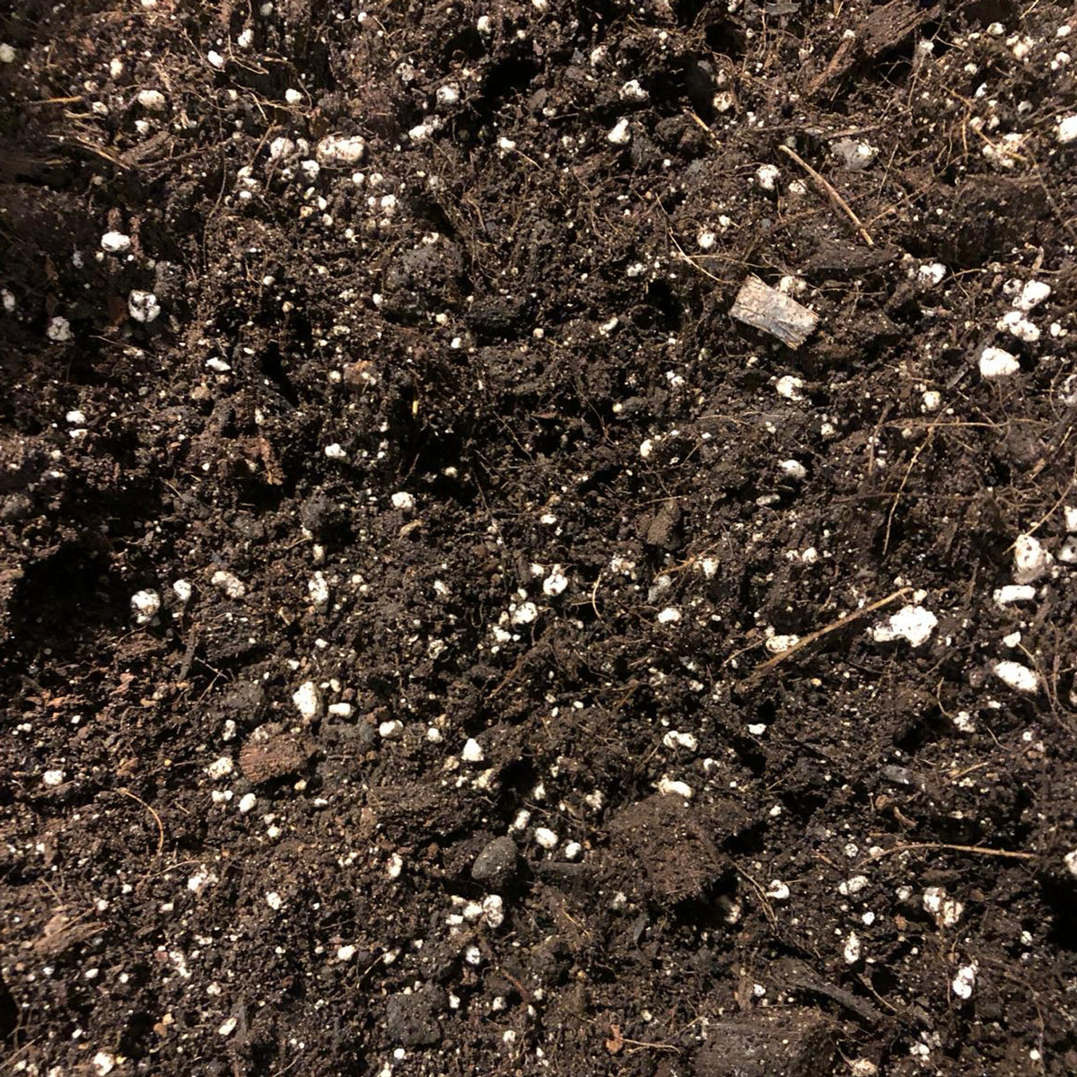 Potting Potting