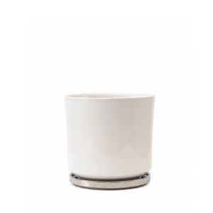 Maceta con plato brillo M - 19cm
