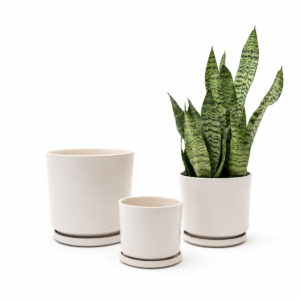 Set ceramica BLANCO x3