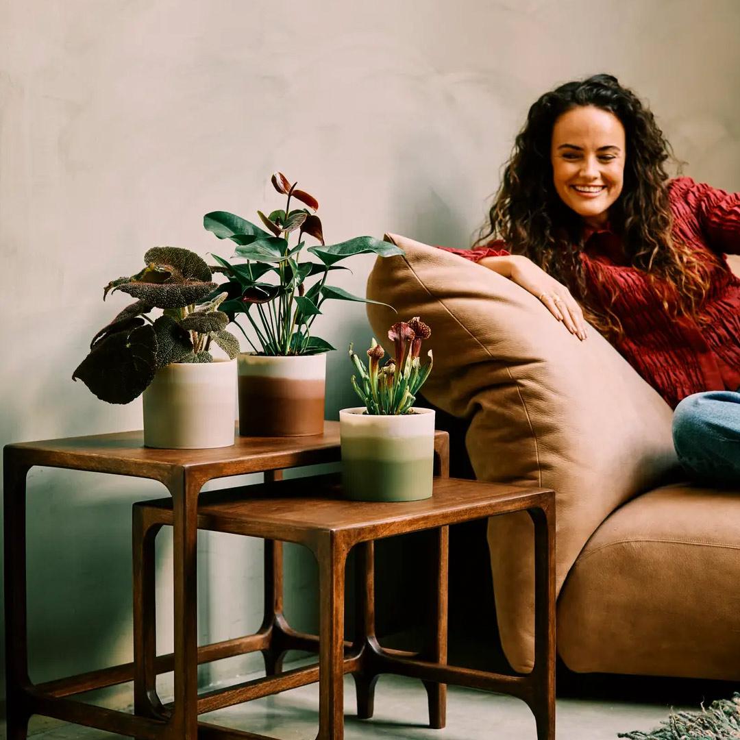 conjunto conjunto