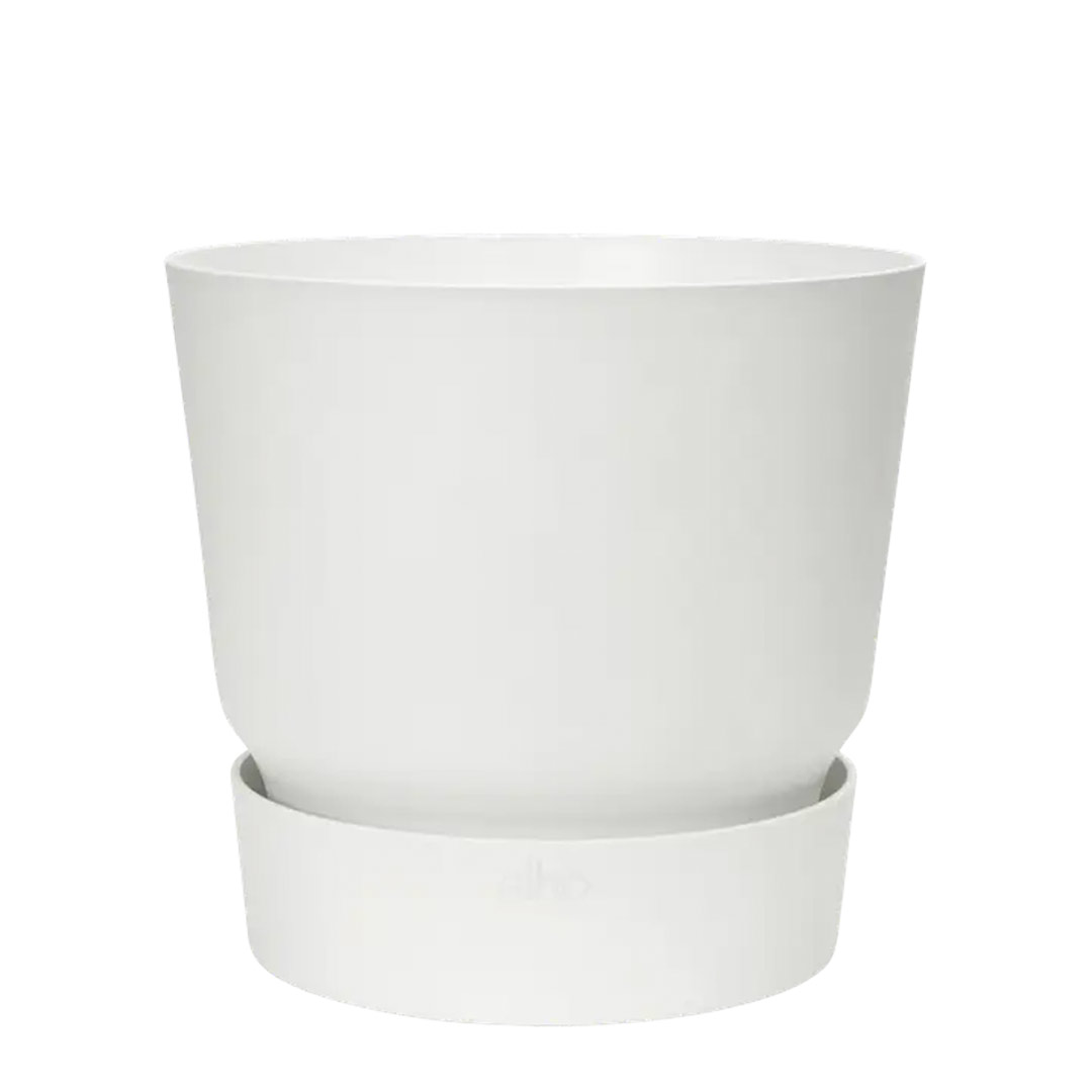 Blanca20 Blanca20