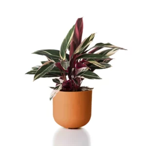 Macetero DUE combinable N4 - Terracota