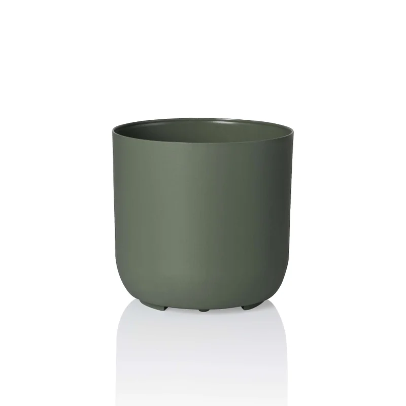 n2 verde